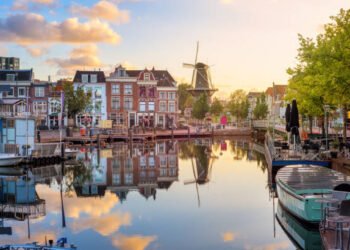 Top Paid Jobs in the Netherlands That Come With Visa Sponsorship