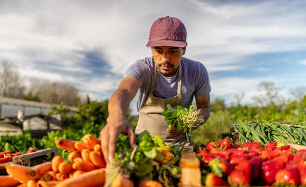 Farm Worker Jobs in Canada with Visa Sponsorship – How to Apply and Secure